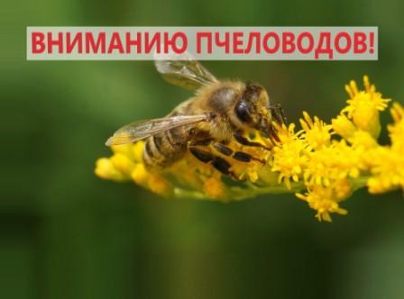 ООО «Кшеньагро» предупреждает население и владельцев пасек.