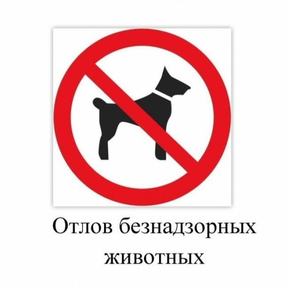 График проведения отлова животных без владельцев на территории Касторенского района Курской области в 2024 году. График проведения отлова животных без владельцев на территории Касторенского района Курской области в 2024 году.