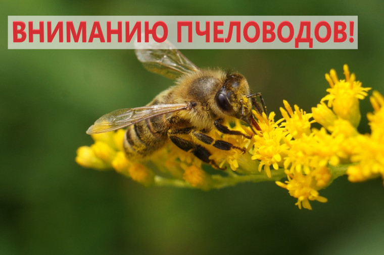 Химической обработки пестицидами озимого рапса и озимой пшеницы с 15.04.2024 по 20.05.2024 года. Химической обработки пестицидами озимого рапса и озимой пшеницы с 15.04.2024 по 20.05.2024 года.