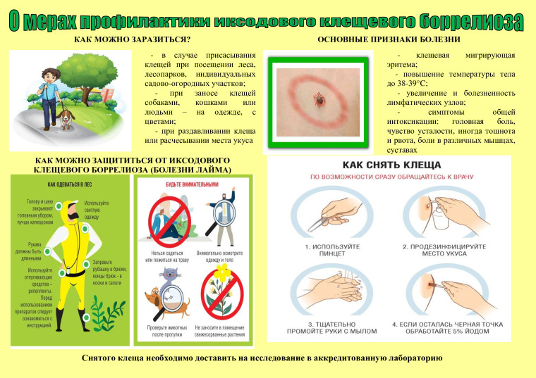 «Горячая линия» по вопросам профилактики клещевого энцефалита. «Горячая линия» по вопросам профилактики клещевого энцефалита.