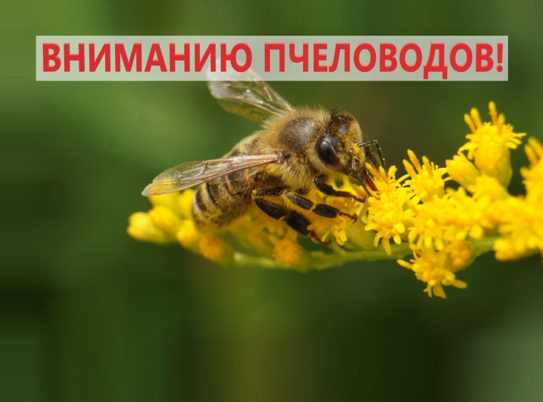 С 24.06.2024 года по 30.06.2024 будет проводиться химическая обработка посевов Сахарной свекл. С 24.06.2024 года по 30.06.2024 будет проводиться химическая обработка посевов Сахарной свекл.